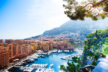 Marina In Monaco City
