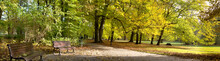 Fall In Public Park
