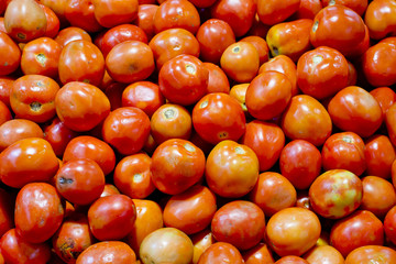 Wall Mural - tomatoes background texture