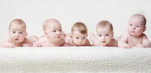Babies On A Light Background