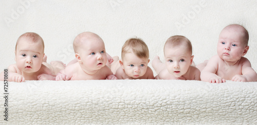 Photographie Bébés sur un fond clair