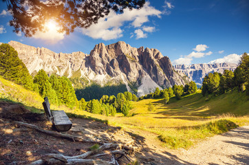 magical mountain landscape