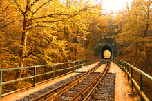 Railway In Autumn Forest
