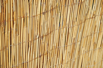  Shallow DOF image of cane fence in village