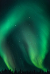 Wall Mural - northern lights