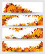 © naddya - Vector banners with orange pumpkins and autumn leaves.