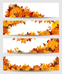 Wall Mural - vector banners with orange pumpkins and autumn leaves.