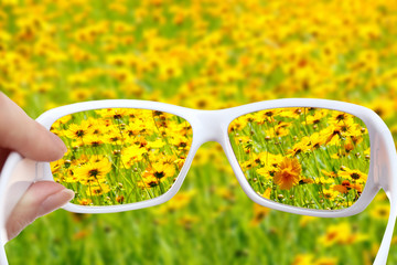 Wall Mural - Vision concept. Glasses in hand on wild flowers background