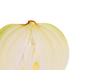 Sticker - Close up of cut white onion.