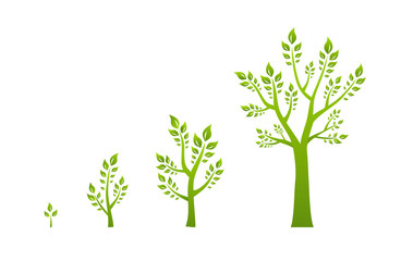 Green tree growth eco concept