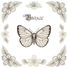 Butterfly And Flowers Drawing Vintage Engraving Style