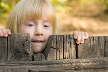 Pretty Little Blond Girl Peering Over A Fence