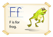 Frog Flashcard