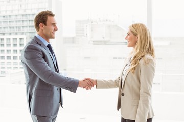 Wall Mural - Executives shaking hands in office