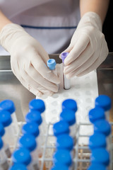 Canvas Print - Technician Placing Test Tube Samples In Tray