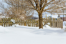 Winter Garden Gate