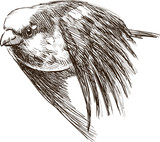 160_f_72736874_es3lity1a1xoh8g1xyb1xmyafa8j9lzd