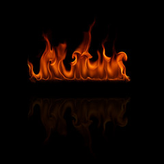 Wall Mural - Fire flames on a black background