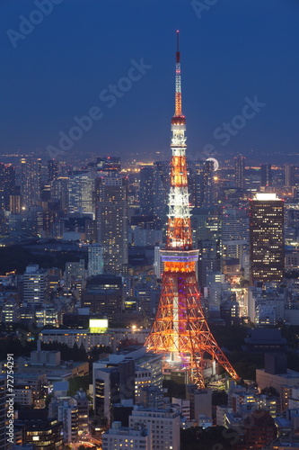 Obraz w ramie View of Tokyo city and Tokyo Tower in evening