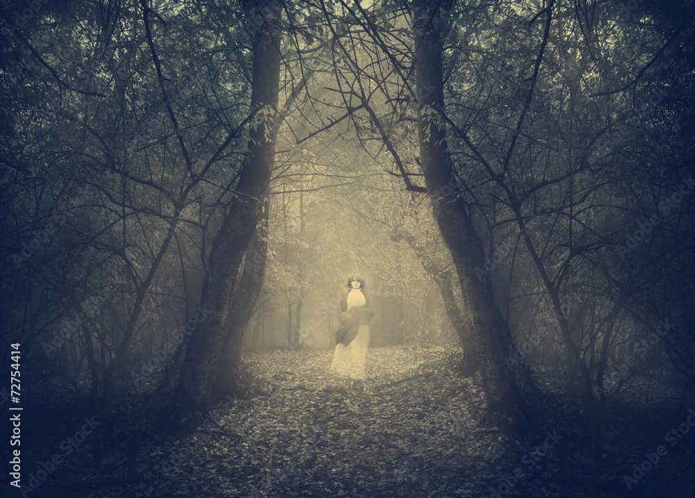 White ghost appears in the forest's mist - obrazy, fototapety, plakaty 
