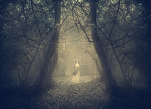 White Ghost Appears In The Forest's Mist