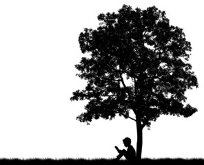 Silhouettes of children read book under tree