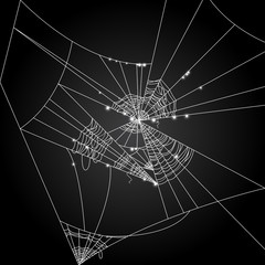 Wall Mural - Cobweb vector