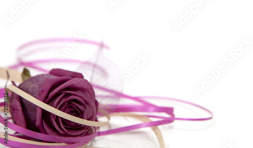 Fototapeta na wymiar rose fleur et ruban cadeau