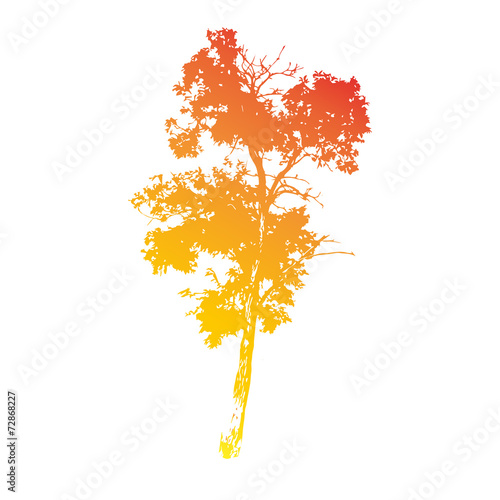 Vector Drawing Silhouettes Of Old Deciduous Tall Tree Buy This Stock Illustration And Explore Similar Illustrations At Adobe Stock Adobe Stock