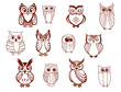 Set of vector owls