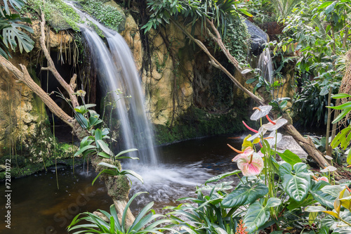 Fototapeta na wymiar Waterfall and flowers in a Dutch tropical garden