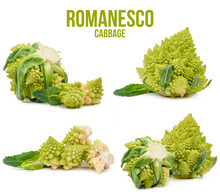 Romanesco Cabbage Set Of Four Tracks Isolated