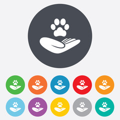 Poster - Shelter pets sign icon. Hand holds paw symbol.