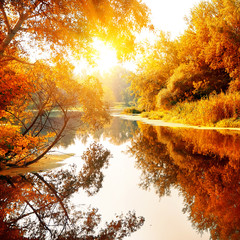 River in a delightful autumn forest