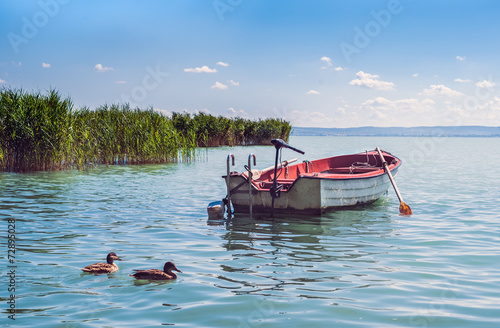 A boat and wild ducks floatinf in the waters of lake Balaton Fototapeta