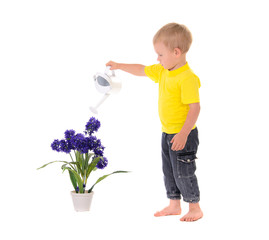 little boy pouring on flower