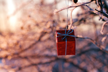 Christmas gift hanging on a tree in winter