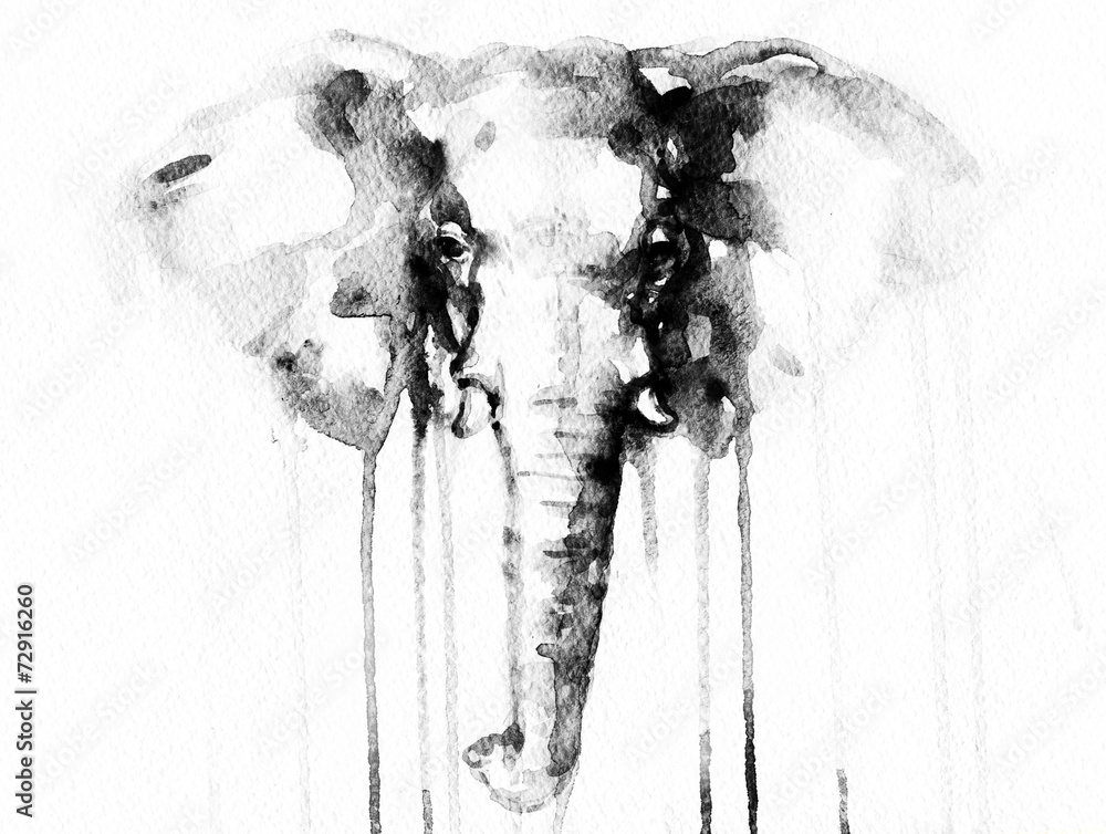 Słoń, akwarela ilustracja - obrazy, fototapety, plakaty 