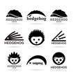 Hedgehogs (1)