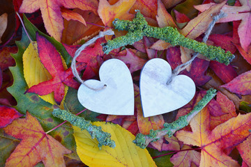 Fotomurales - twee houten harten met herfstbladeren