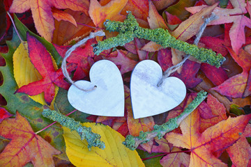Fotomurales - twee houten harten met herfstbladeren