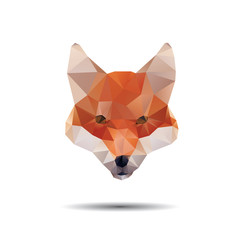 Wall Mural - Fox abstract isolated on a white background