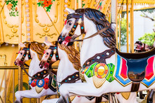 Carousel Horses In Amusement Park