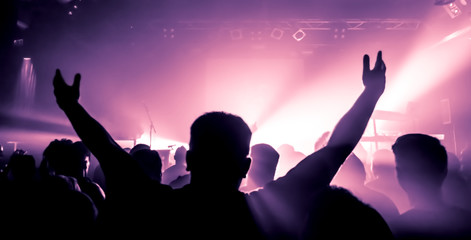 cheering crowd at concert