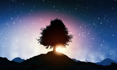 Wall Mural - natural landscape