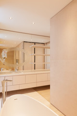 Wall Mural - Luxury and minimal bathroom interior