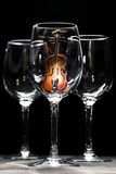 Fototapeta  - Violin in wine glass
