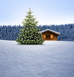 Schihütte mit Weihnachtsbaum