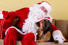 Santa Claus With Dog