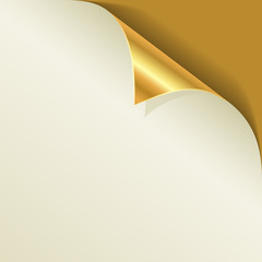 Wall Mural - Golden page curl with shadow vector template.